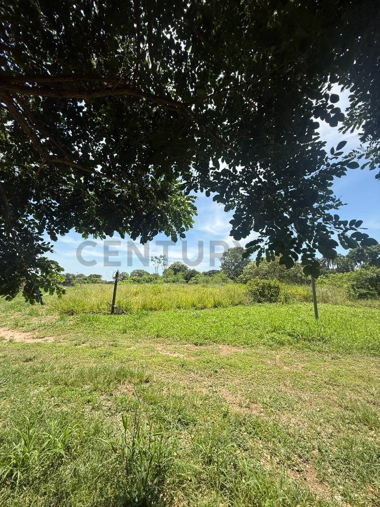 imagen-20260718074823-1784404103-529